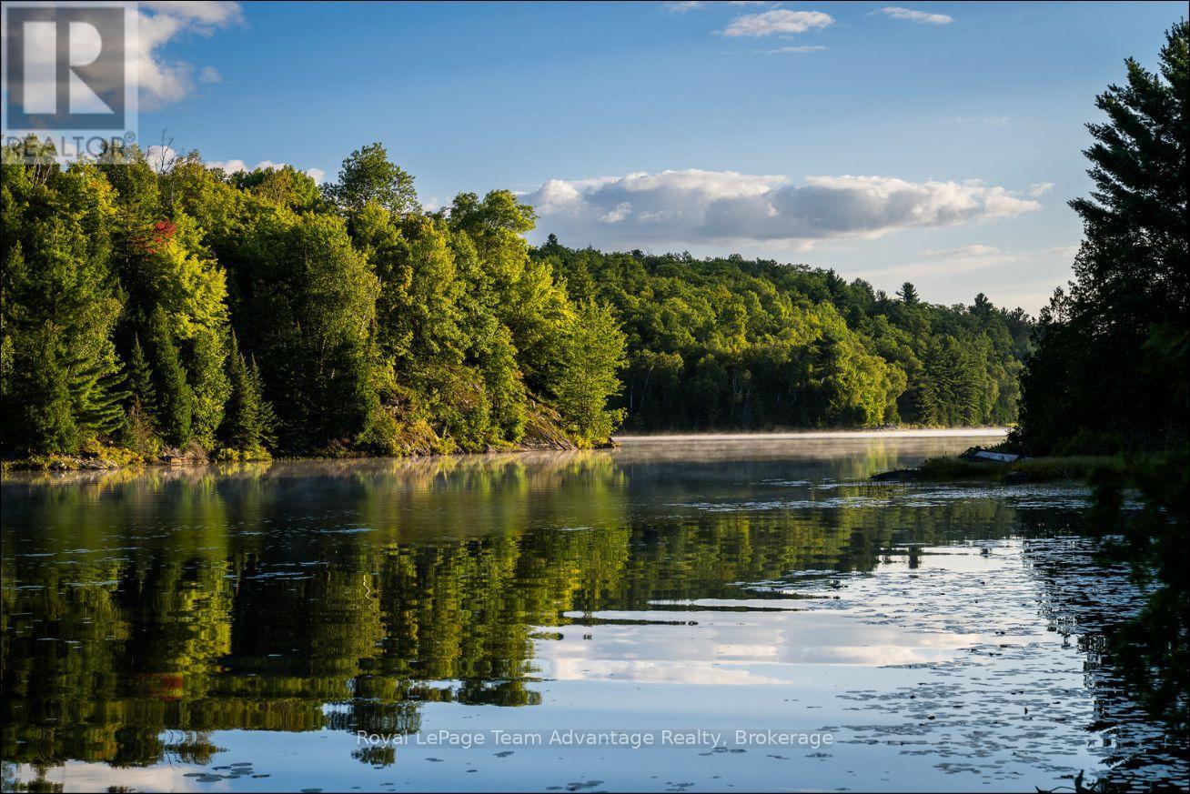 420 SHAWANAGA LAKE - 42