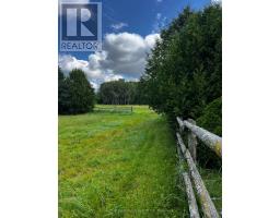22 - 128 County Road, Alnwick/haldimand, ON K0K1C0 Photo 10