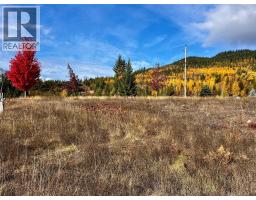 235 Fullmoon Road, Rosebery, BC V0G1S1 Photo 7