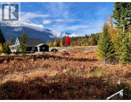 235 Fullmoon Road, Rosebery, BC V0G1S1 Photo 12