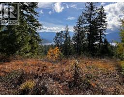235 Fullmoon Road, Rosebery, BC V0G1S1 Photo 10