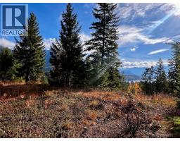 235 Fullmoon Road, Rosebery, BC V0G1S1 Photo 15