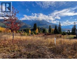 235 Fullmoon Road, Rosebery, BC V0G1S1 Photo 21