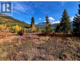 235 Fullmoon Road, Rosebery, BC V0G1S1 Photo 16