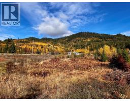 235 Fullmoon Road, Rosebery, BC V0G1S1 Photo 8