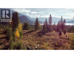 235 Fullmoon Road, Rosebery, BC V0G1S1 Photo 35