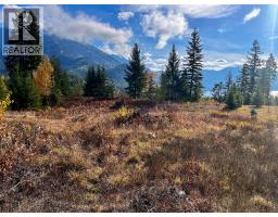 235 Fullmoon Road, Rosebery, BC V0G1S1 Photo 6