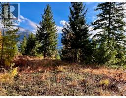 235 Fullmoon Road, Rosebery, BC V0G1S1 Photo 9