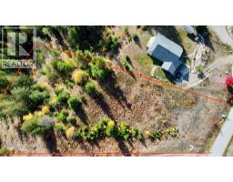 235 Fullmoon Road, Rosebery, BC V0G1S1 Photo 32