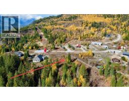 235 Fullmoon Road, Rosebery, BC V0G1S1 Photo 26