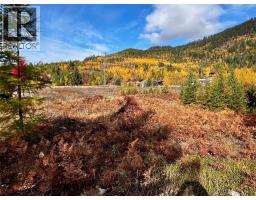 235 Fullmoon Road, Rosebery, BC V0G1S1 Photo 14