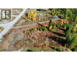 235 Fullmoon Road, Rosebery, BC V0G1S1 Photo 33