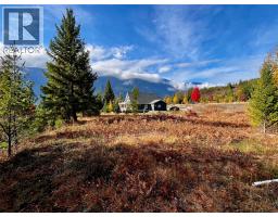 235 Fullmoon Road, Rosebery, BC V0G1S1 Photo 13