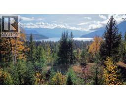 235 Fullmoon Road, Rosebery, BC V0G1S1 Photo 27