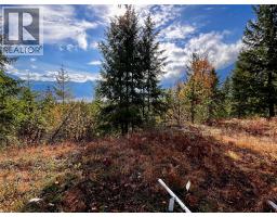 235 Fullmoon Road, Rosebery, BC V0G1S1 Photo 11