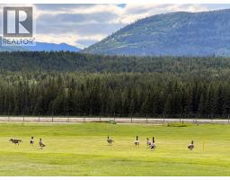 Lot 113 Riverside Drive, Fairmont Hot Springs, BC V0B1L1 Photo 16