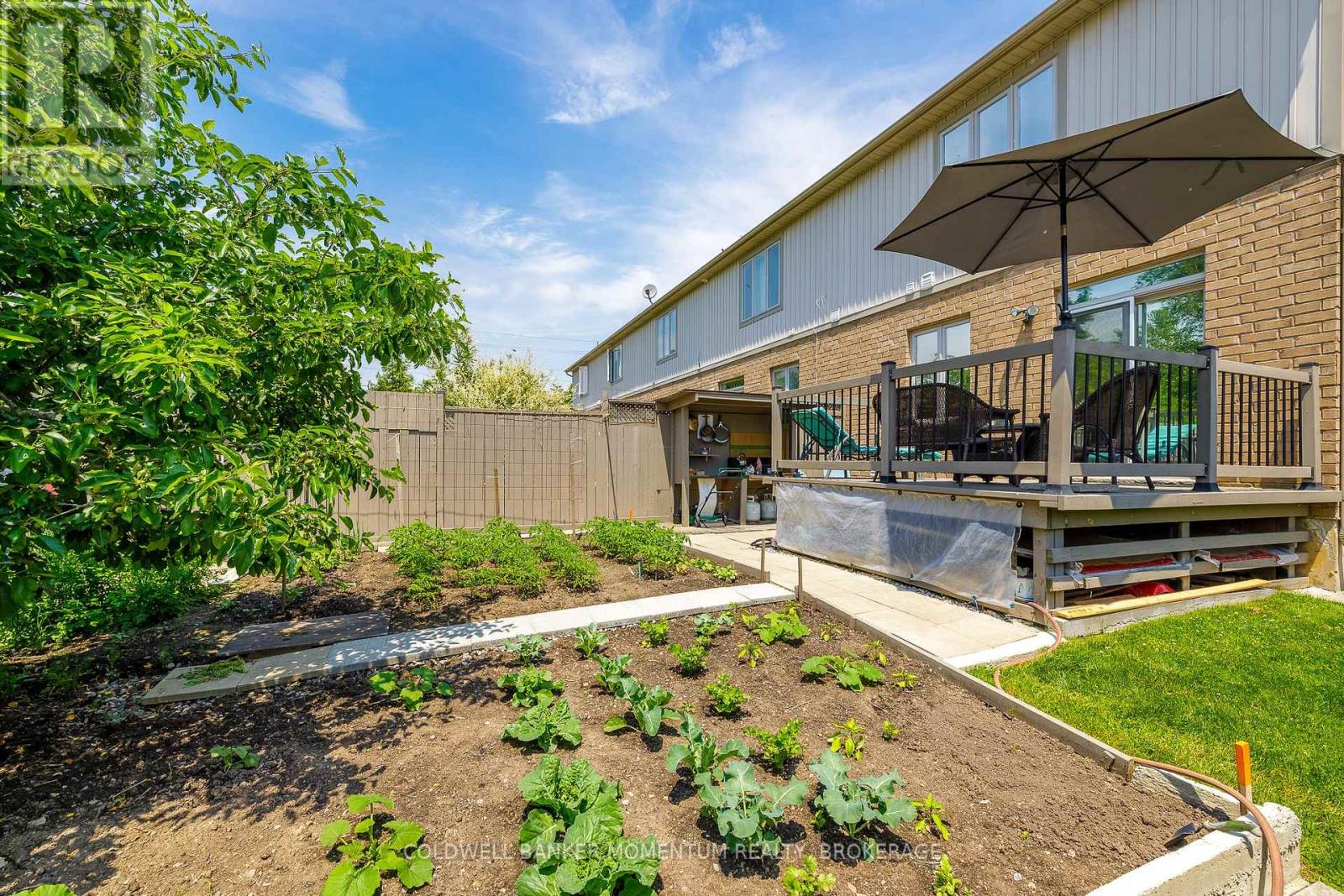 121 ALBERT STREET - Image 32