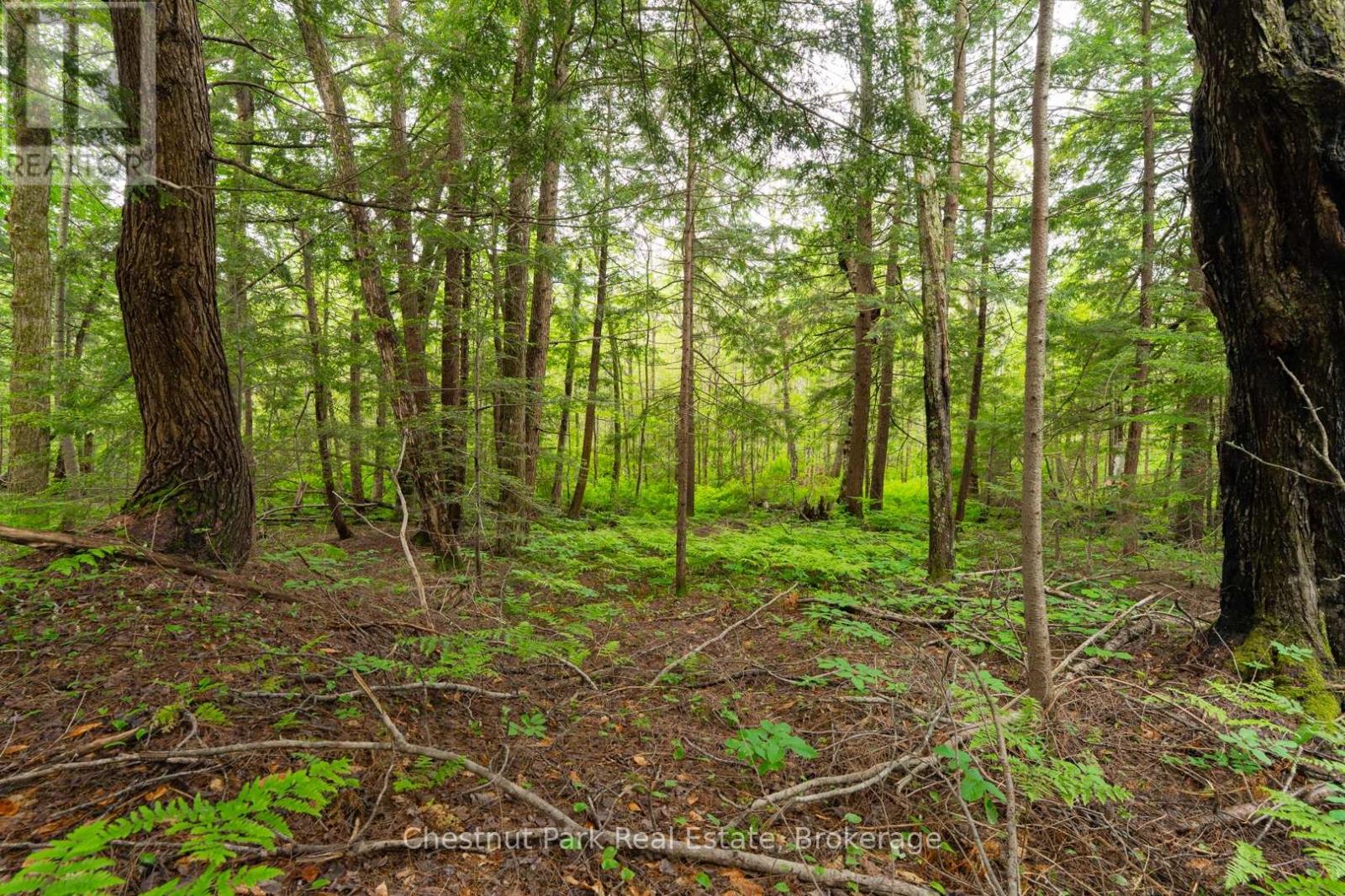 1066 UFFINGTON ROAD, Bracebridge (Draper) — photo 2