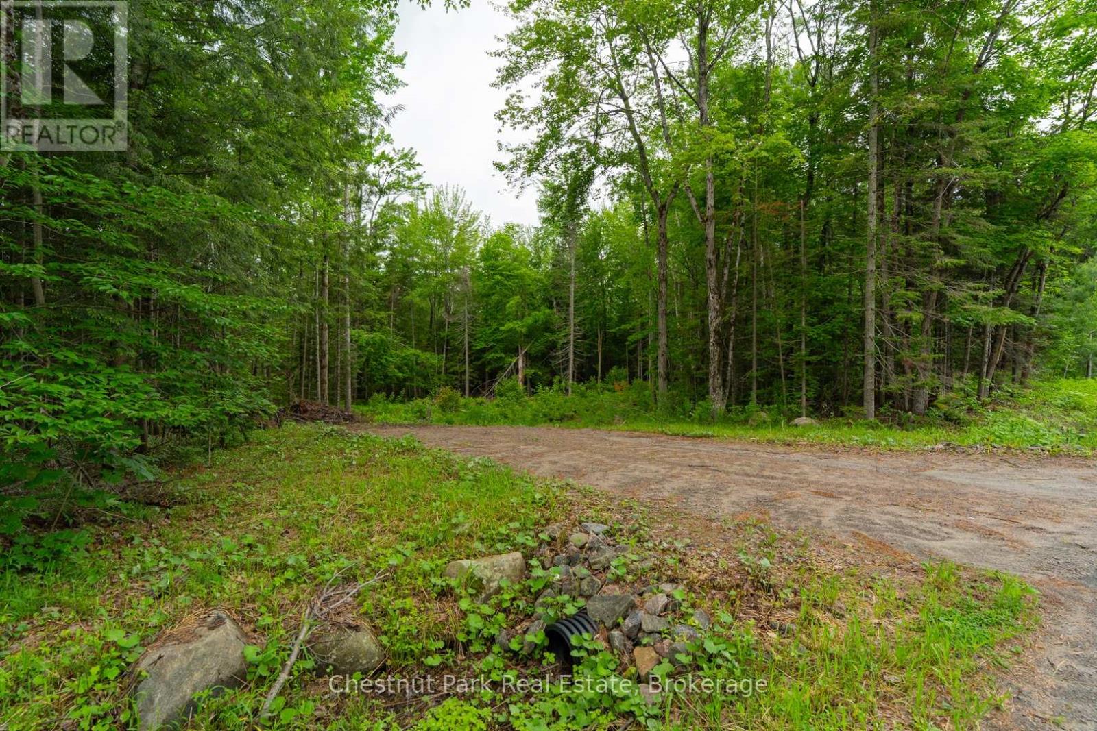 1066 UFFINGTON ROAD, Bracebridge (Draper) — photo 3