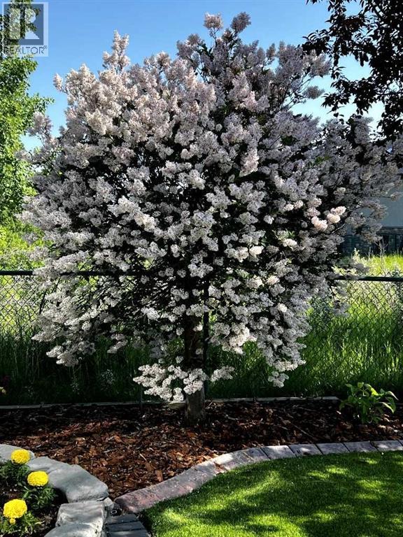 Flowering trees and shrubs