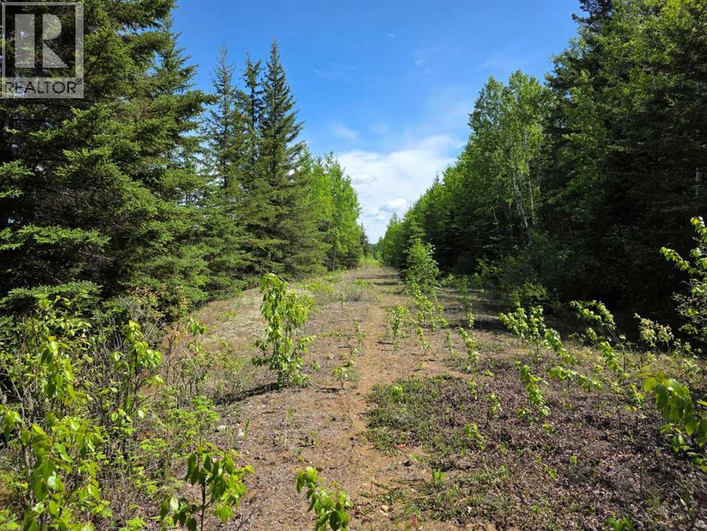 631026 Range Road 232.3 Road — photo 24