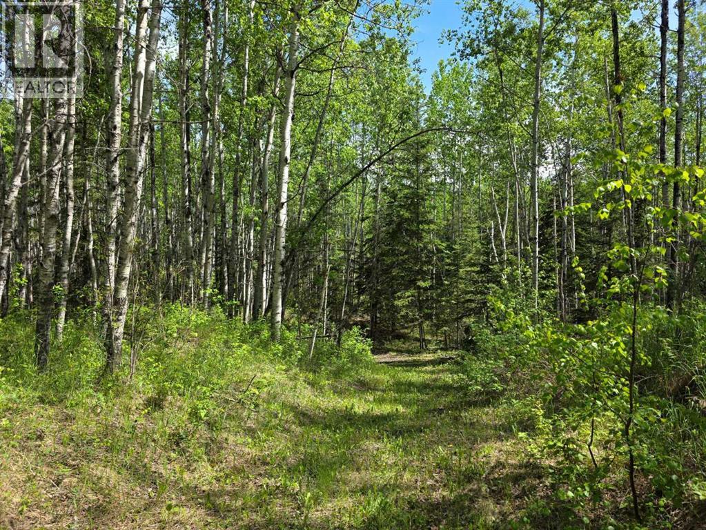 631026 Range Road 232.3 Road — photo 19
