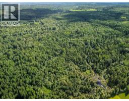 10133 Hart Highway, Prince George, BC V2K5T8 Photo 7