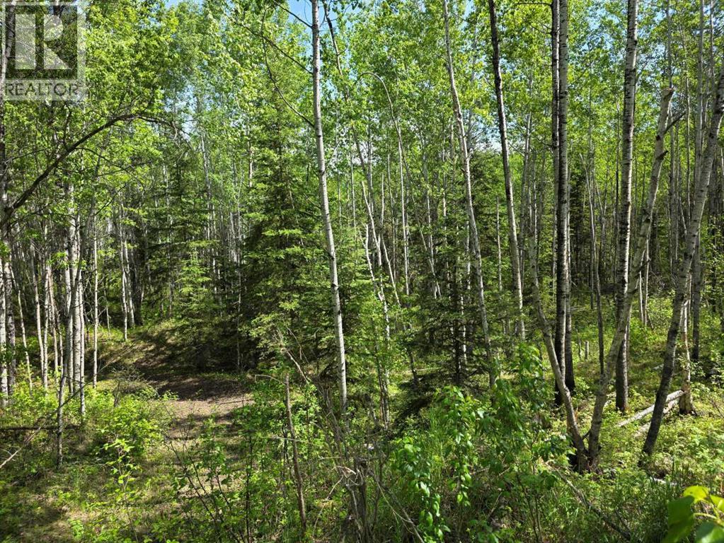 631026 Range Road 232.3 Road — photo 20