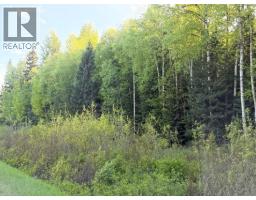 10133 Hart Highway, Prince George, BC V2K5T8 Photo 13