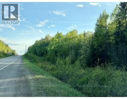 10133 Hart Highway, Prince George, BC V2K5T8 Photo 12