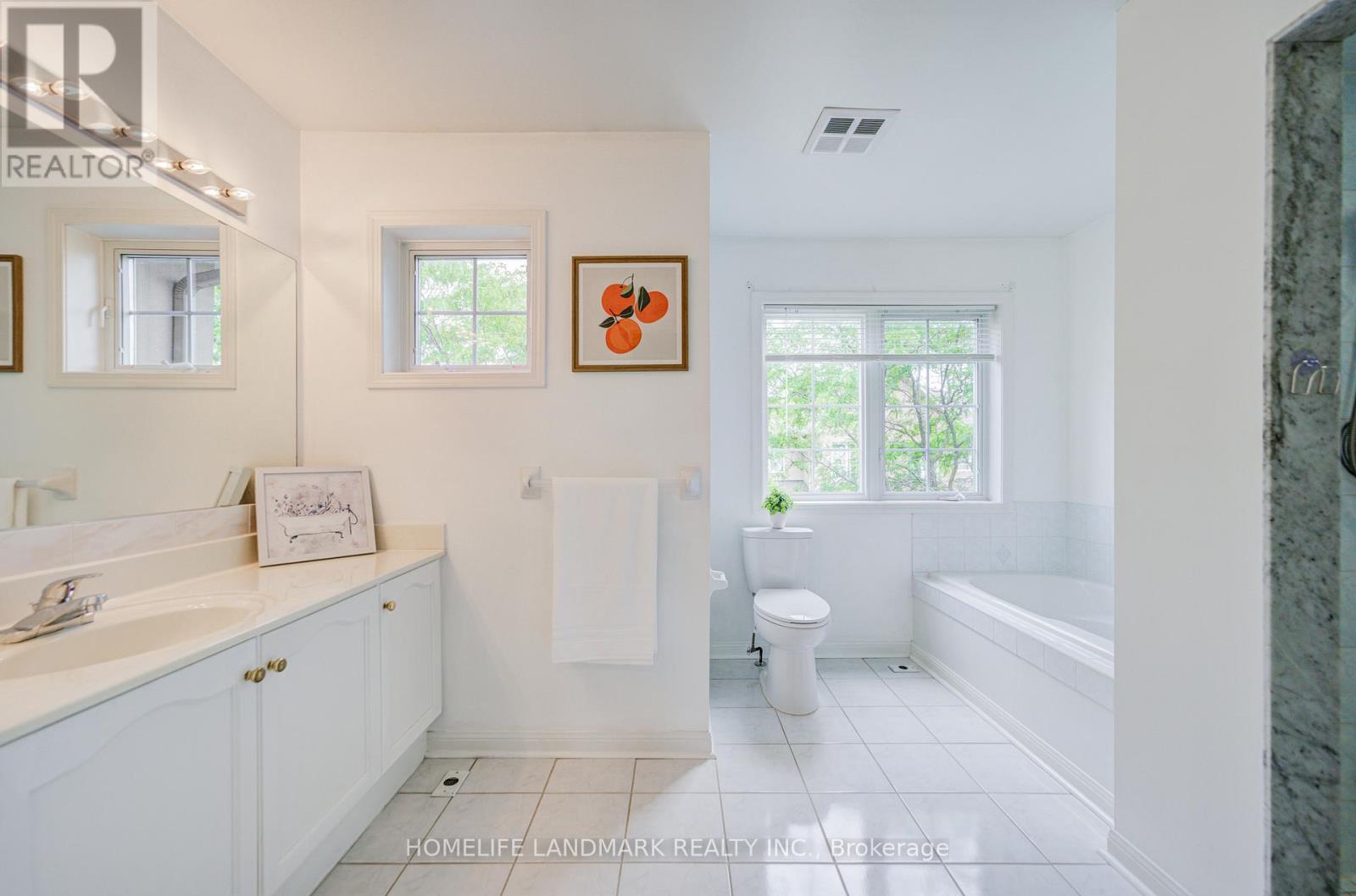 #6 10 ST MORITZ WAY - 26