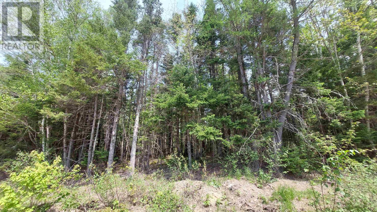 Property 5 of 15 of Lot 14 Walkerville Rd