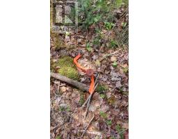 Lot 14 Walkerville Rd, Walkerville, NS B0E1J0 Photo 9
