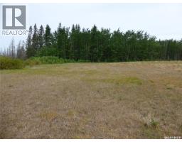 145 Acres, Rm Of Mervin, Mervin Rm No 499, SK S0M2T0 Photo 10