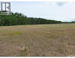 145 Acres, Rm Of Mervin, Mervin Rm No 499, SK S0M2T0 Photo 11