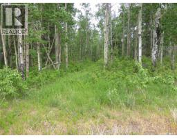 145 Acres, Rm Of Mervin, Mervin Rm No 499, SK S0M2T0 Photo 15