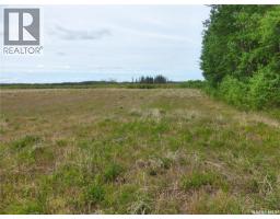 145 Acres, Rm Of Mervin, Mervin Rm No 499, SK S0M2T0 Photo 17