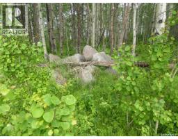 145 Acres, Rm Of Mervin, Mervin Rm No 499, SK S0M2T0 Photo 18