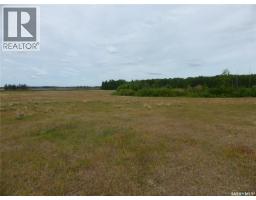 145 Acres, Rm Of Mervin, Mervin Rm No 499, SK S0M2T0 Photo 6