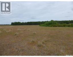 145 Acres, Rm Of Mervin, Mervin Rm No 499, SK S0M2T0 Photo 7