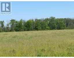 618 Christian Road, Prince Edward County, ON K0K1G0 Photo 8