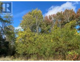 618 Christian Road, Prince Edward County, ON K0K1G0 Photo 9