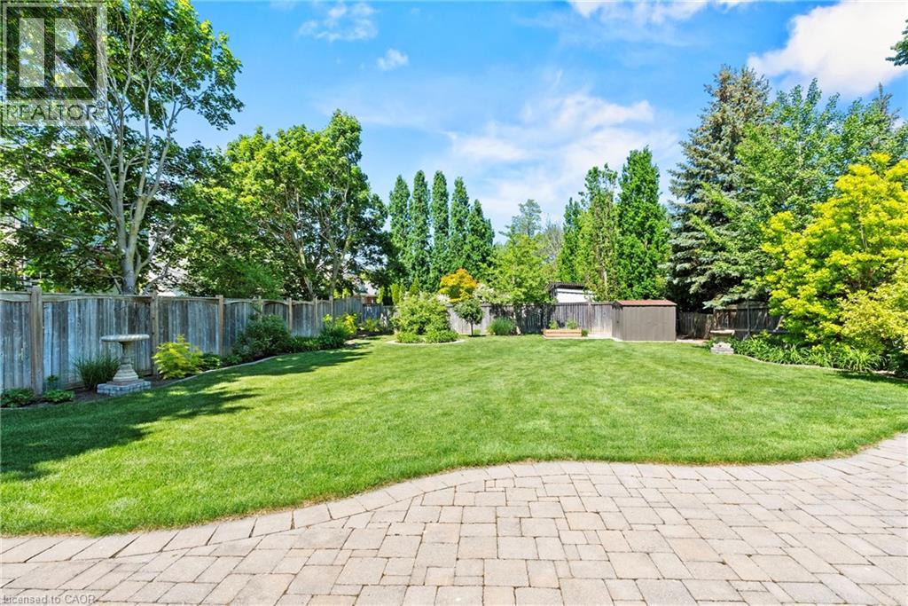 8 CAMPBELL Street - 35