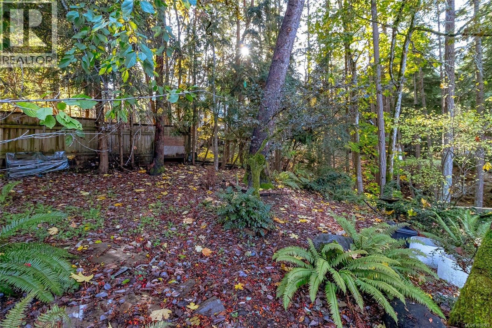 1364 Kingsview Rd - 20