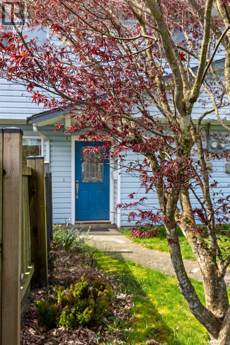 #B 345 Menzies Ave - 35