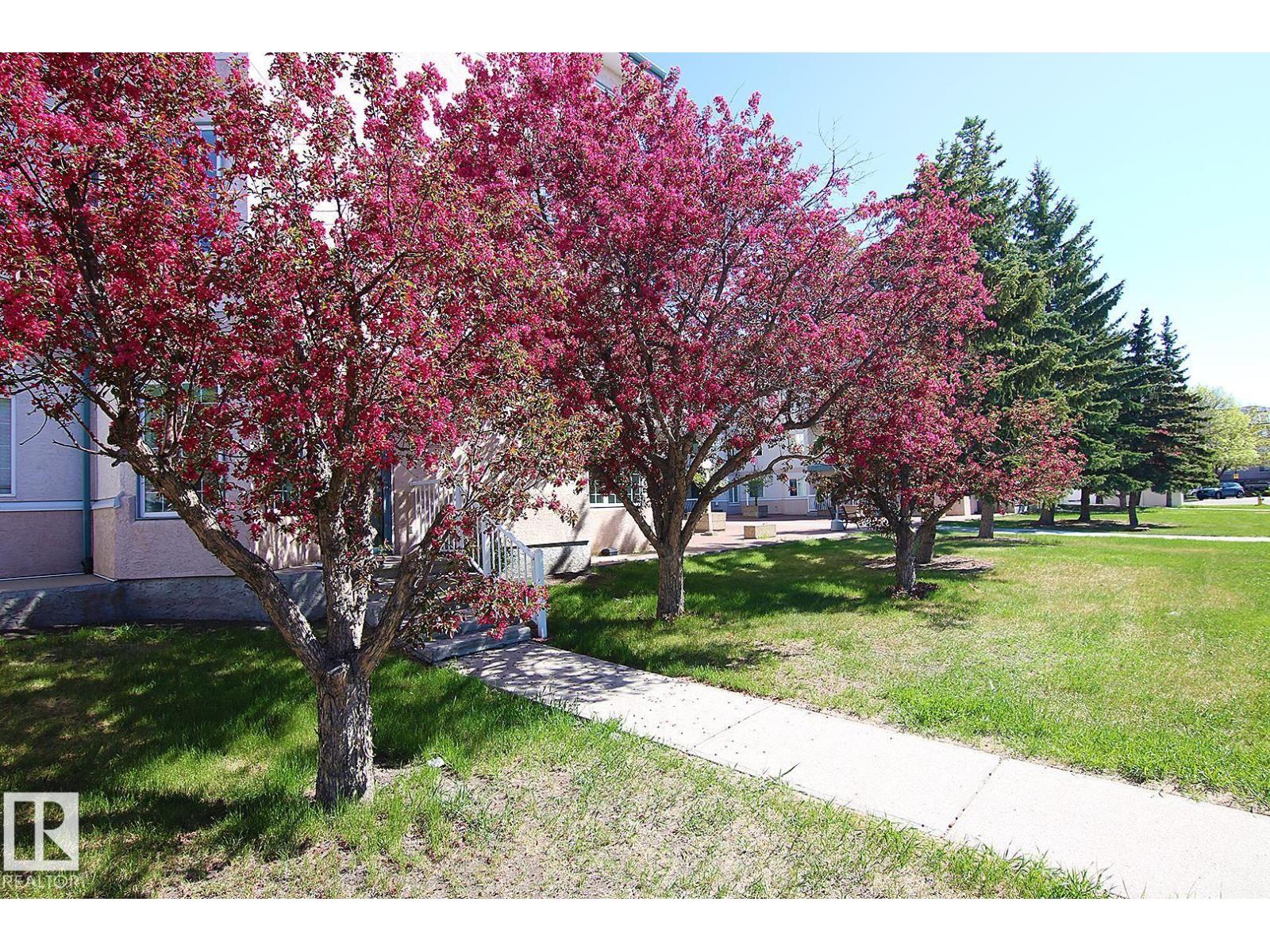 #308 17150 94A AV NW - 2
