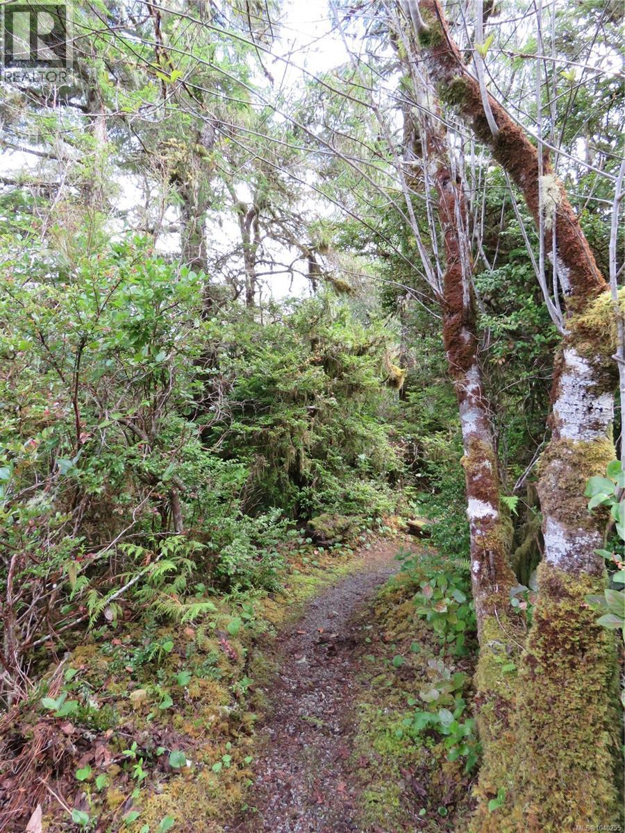 522 Burlo Island - 23