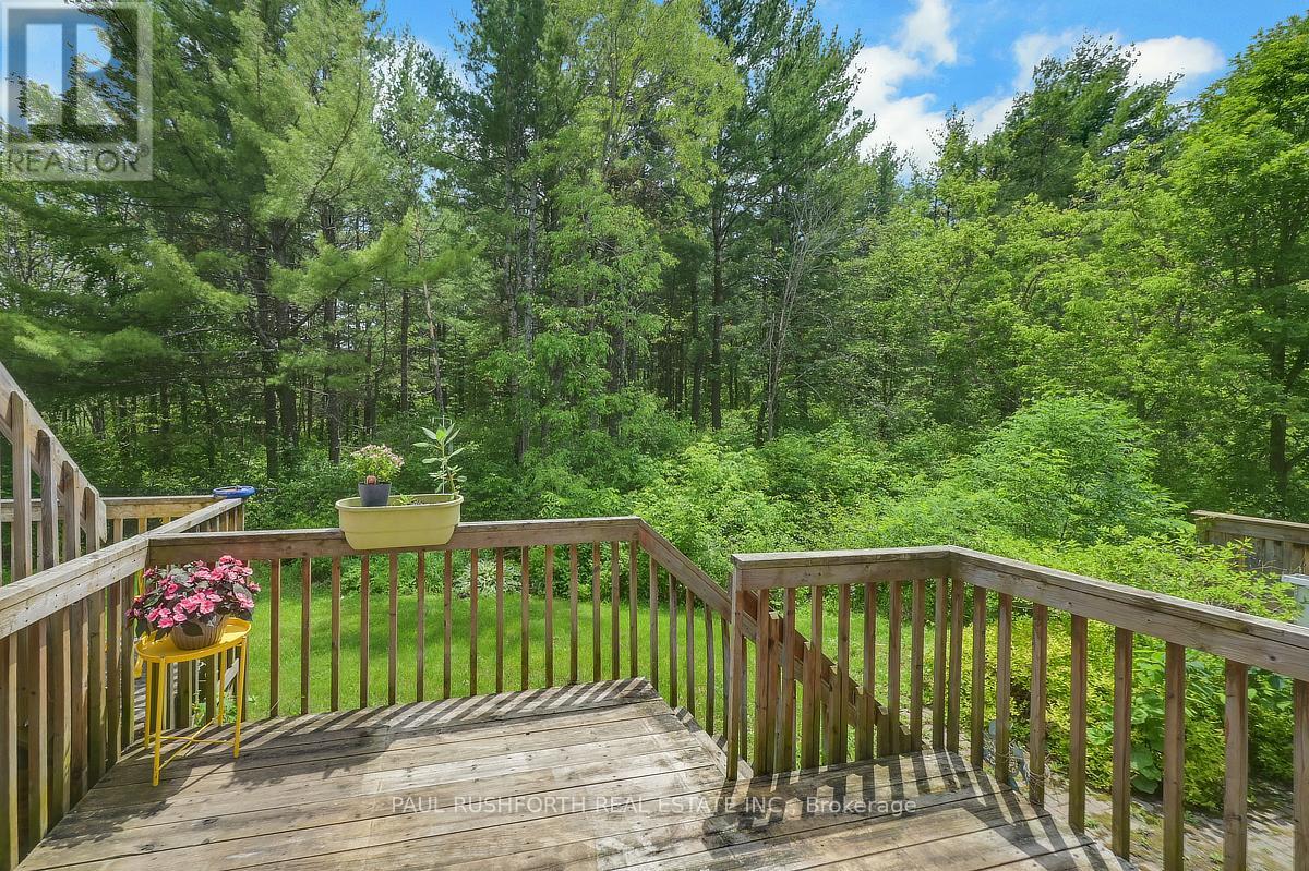 Backyard View From Deck