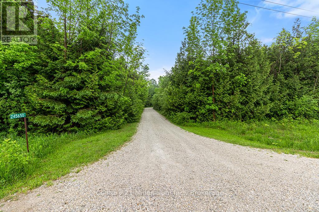 245650 22 SIDE ROAD - Image 4