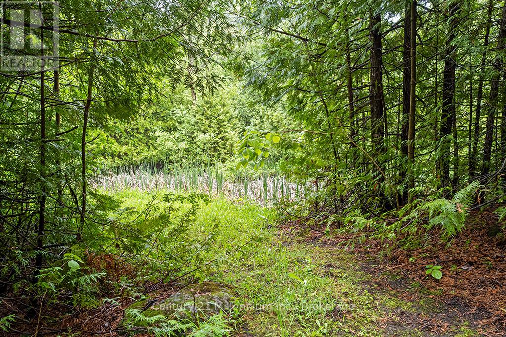 245650 22 SIDE ROAD - 47